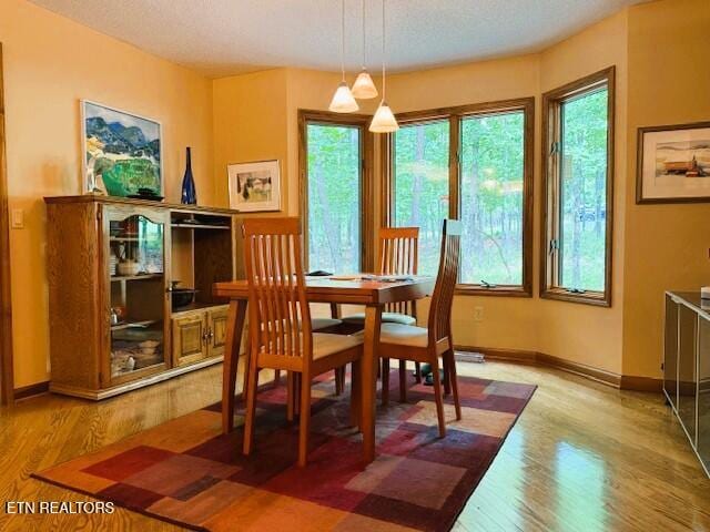 128 Cathedral Dr, Crossville, TN 38558 - dining room featuring light wood finished floors and baseboards