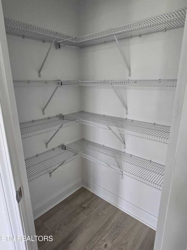 1334 Mountain Quail Cir, Maryville, TN 37801 - view of pantry