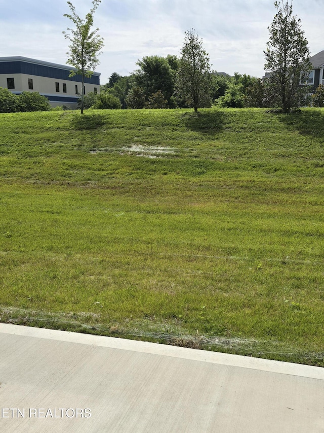 1334 Mountain Quail Cir, Maryville, TN 37801 - view of yard