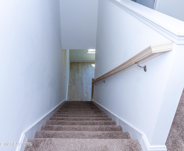 1334 Mountain Quail Cir, Maryville, TN 37801 - stairs with baseboards and wood finished floors