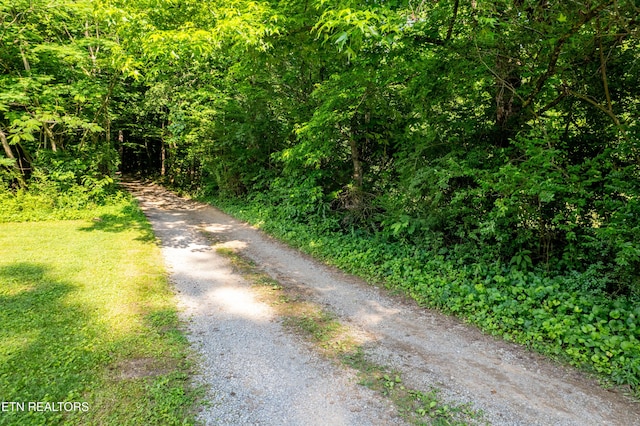 226 Stables Dr, Townsend, TN 37882 - photo 2