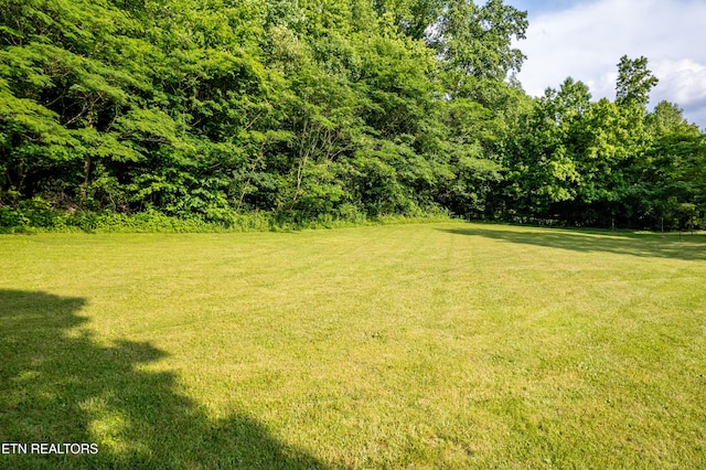 226 Stables Dr, Townsend, TN 37882 - photo 3