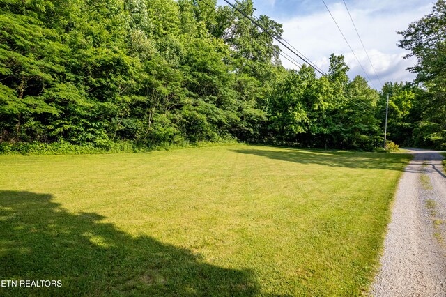 226 Stables Dr, Townsend, TN 37882 - photo 5