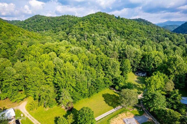 226 Stables Dr, Townsend, TN 37882 - photo 6