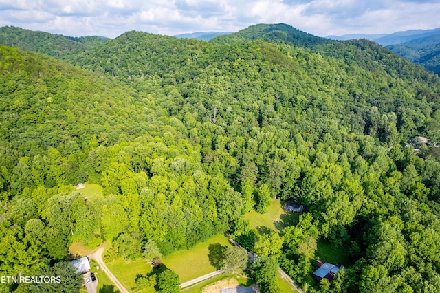 226 Stables Dr, Townsend, TN 37882 - photo 7