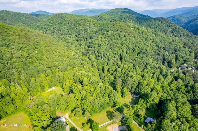 226 Stables Dr, Townsend, TN 37882 - photo 8