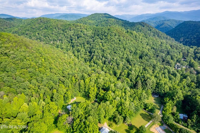 226 Stables Dr, Townsend, TN 37882 - photo 9
