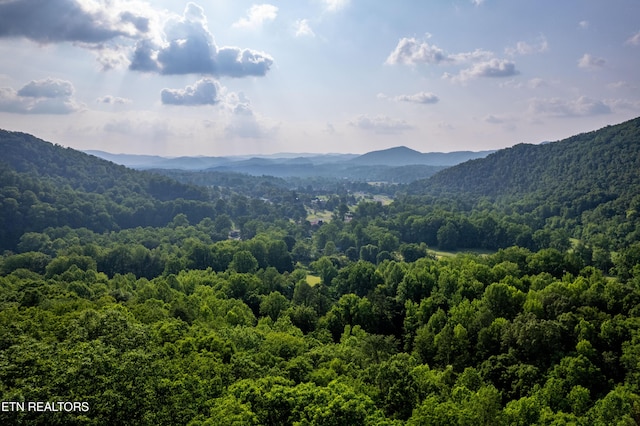 226 Stables Dr, Townsend, TN 37882 - photo 20