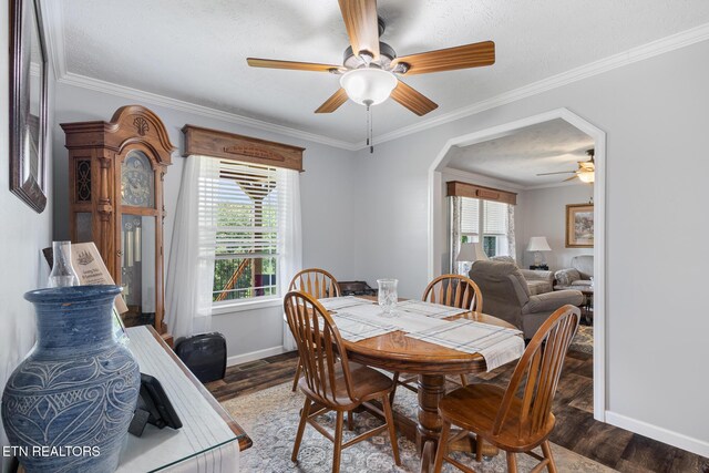 217 Countryside Ln, Madisonville, TN 37354 - photo 15