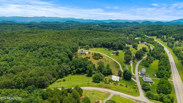 217 Countryside Ln, Madisonville, TN 37354 - photo 5