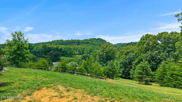 217 Countryside Ln, Madisonville, TN 37354 - photo 26