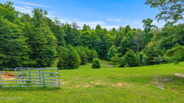217 Countryside Ln, Madisonville, TN 37354 - photo 27