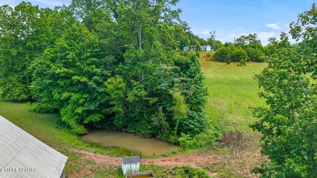 217 Countryside Ln, Madisonville, TN 37354 - photo 41
