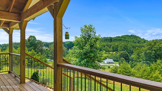 217 Countryside Ln, Madisonville, TN 37354 - photo 3