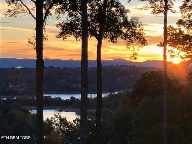 Deerwood Ln, Lafollette, TN 37766