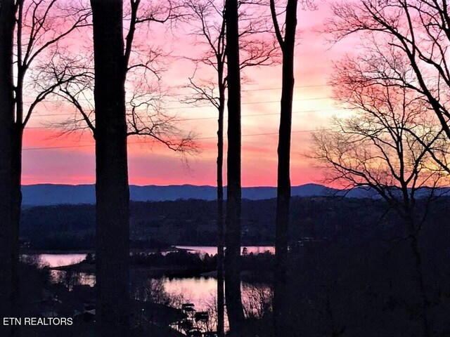 Deerwood Ln, Lafollette, TN 37766