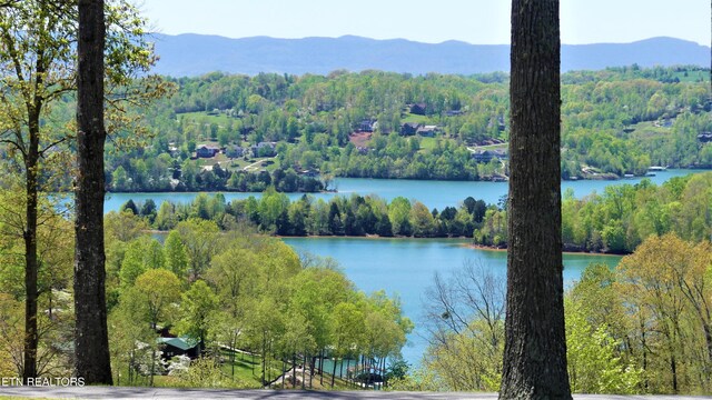 Deerwood Ln, Lafollette, TN 37766
