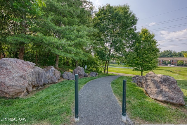 674 Applegate Ln Unit 32, Knoxville, TN 37934 - surrounding community featuring a yard