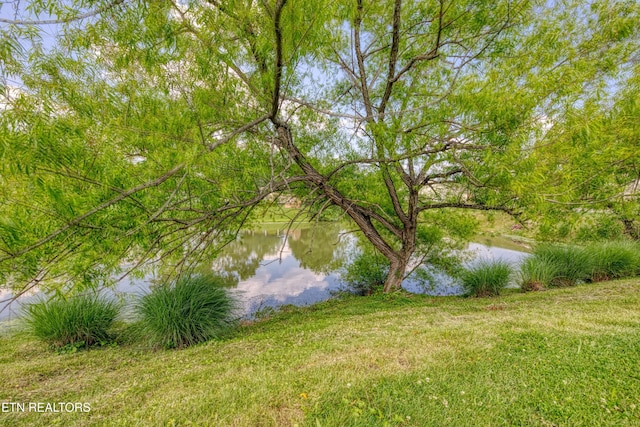 674 Applegate Ln Unit 32, Knoxville, TN 37934 - water view