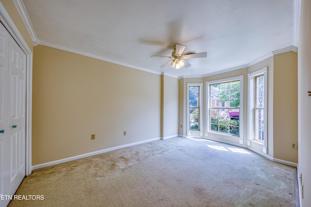 674 Applegate Ln Unit 32, Knoxville, TN 37934 - spare room featuring crown molding, carpet, baseboards, and a ceiling fan