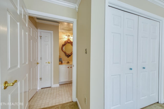 674 Applegate Ln Unit 32, Knoxville, TN 37934 - hall with crown molding, baseboards, and light floors