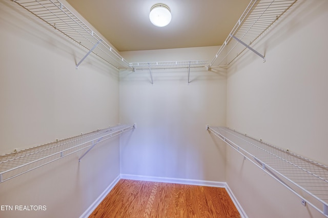 674 Applegate Ln Unit 32, Knoxville, TN 37934 - spacious closet featuring light wood-style flooring