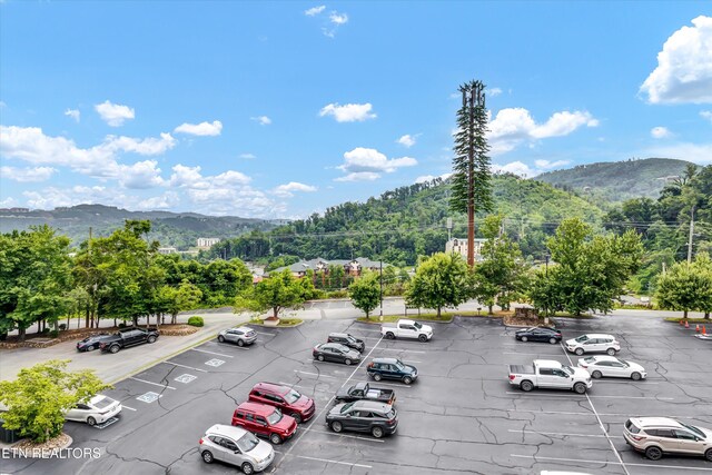 354 E Holly Ridge Rd Ste 605, Gatlinburg, TN 37738 - photo 25