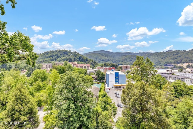 354 E Holly Ridge Rd Ste 605, Gatlinburg, TN 37738 - photo 28