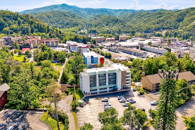 354 E Holly Ridge Rd Ste 605, Gatlinburg, TN 37738 - photo 1