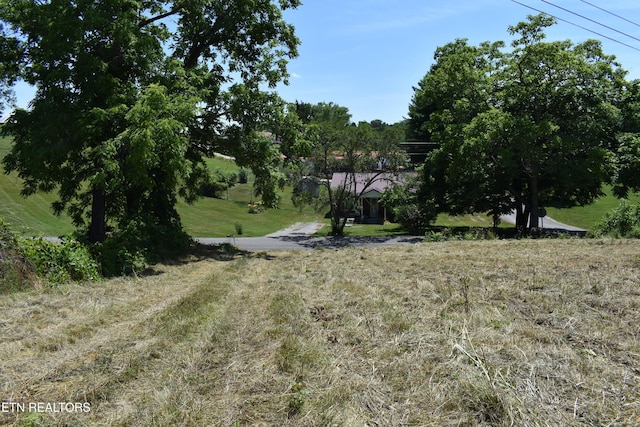 417 River Rd, Harrogate, TN 37752 - photo 2