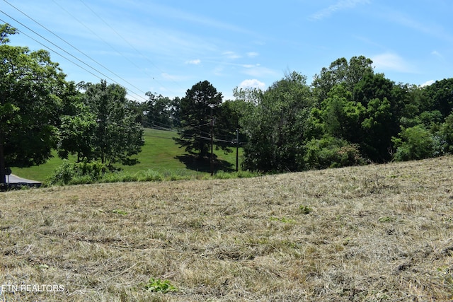 417 River Rd, Harrogate, TN 37752 - photo 3