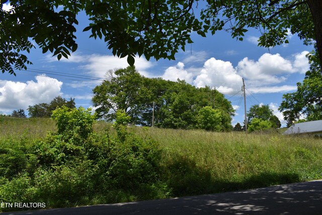 417 River Rd, Harrogate, TN 37752 - photo 5