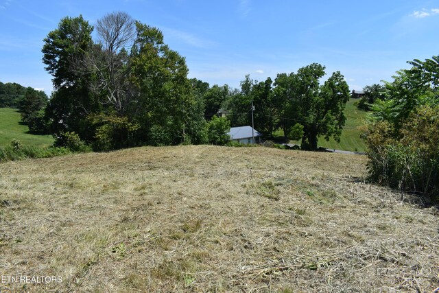 417 River Rd, Harrogate, TN 37752 - photo 6