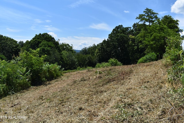 417 River Rd, Harrogate, TN 37752 - photo 8