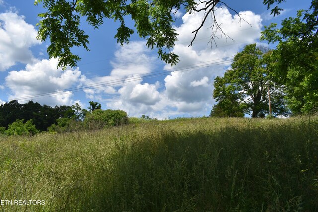 417 River Rd, Harrogate, TN 37752 - photo 9