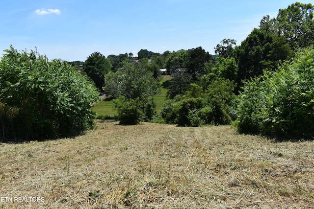 417 River Rd, Harrogate, TN 37752 - photo 10