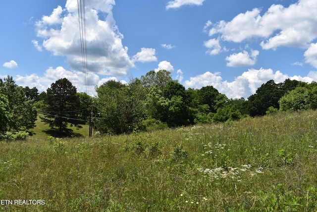 417 River Rd, Harrogate, TN 37752 - photo 1