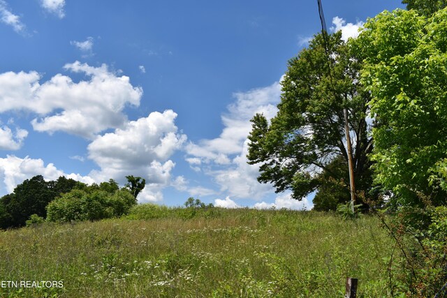 417 River Rd, Harrogate, TN 37752 - photo 12