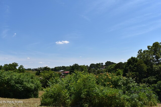 417 River Rd, Harrogate, TN 37752 - photo 15
