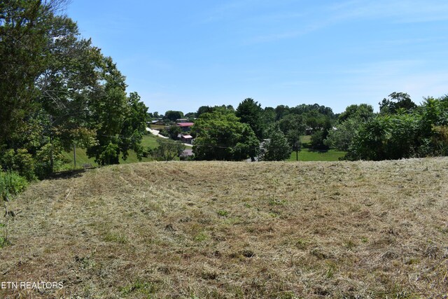 417 River Rd, Harrogate, TN 37752 - photo 18