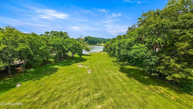 133 Cedar Crest Ln, Friendsville, TN 37737 - photo 30