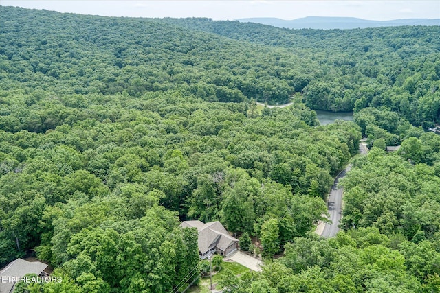 15 Chatham Ct, Fairfield Glade, TN 38558 - aerial view of a forest