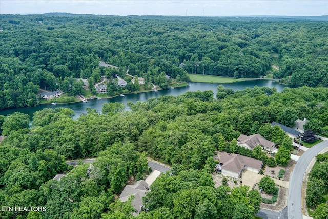 15 Chatham Ct, Fairfield Glade, TN 38558 - aerial overview of property's location with a heavily wooded area and a nearby body of water