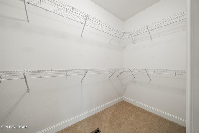15 Chatham Ct, Fairfield Glade, TN 38558 - walk in closet featuring light carpet
