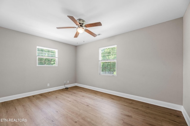 7029 Castlewood Rd, Knoxville, TN 37931 - photo 25