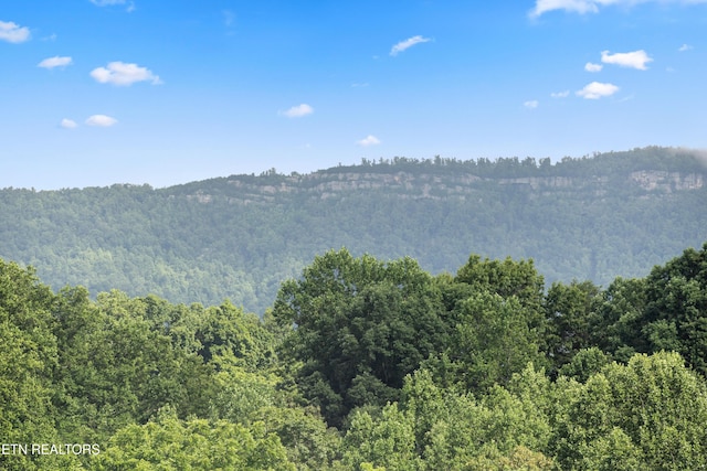 165 Kenzie Ln, Lafollette, TN 37766 - mountain view with a forest