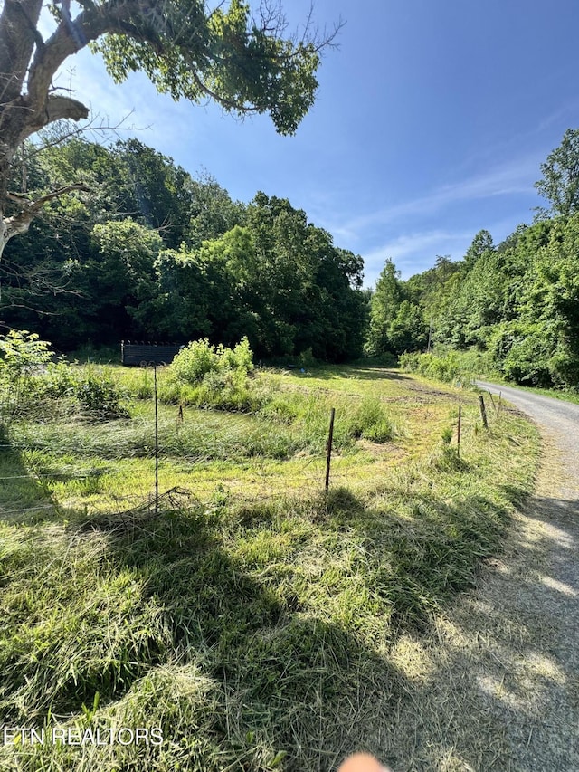 2395 Howard Rd, Bybee, TN 37713 - view of yard featuring a view of trees