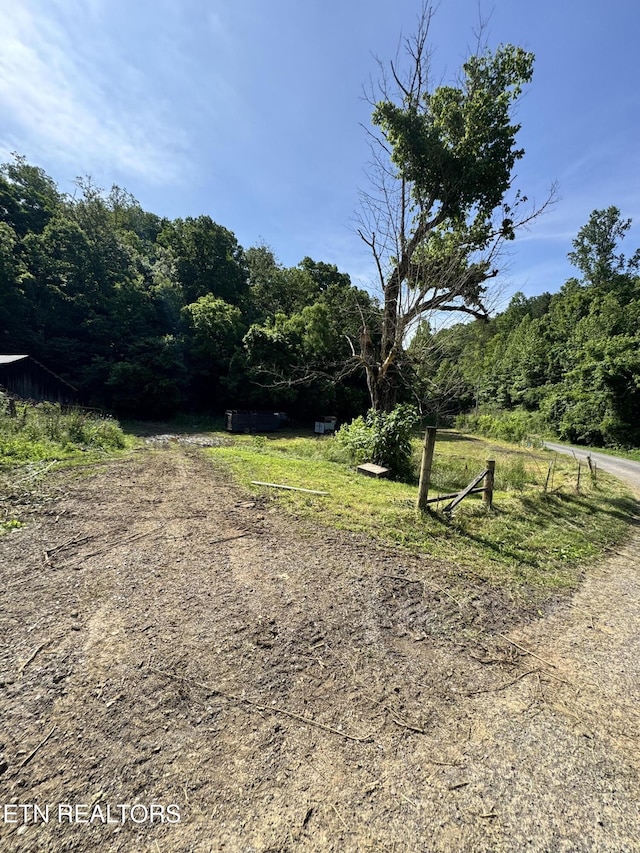 2395 Howard Rd, Bybee, TN 37713 - view of yard with a forest view