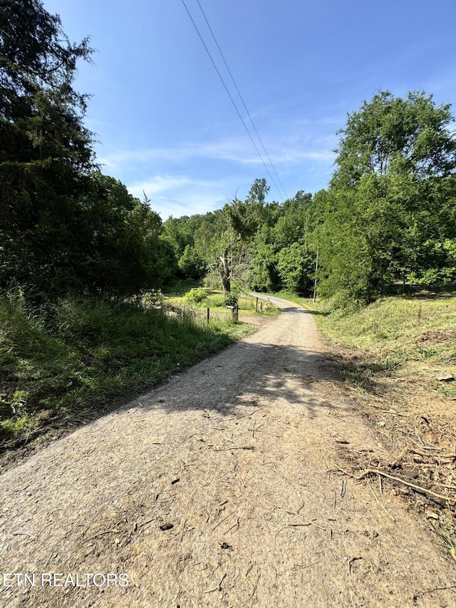 2395 Howard Rd, Bybee, TN 37713 - view of dirt / gravel road with a wooded view