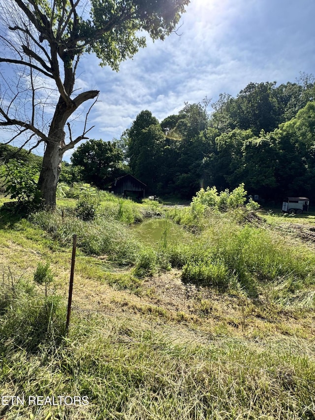2395 Howard Rd, Bybee, TN 37713 - view of local wilderness